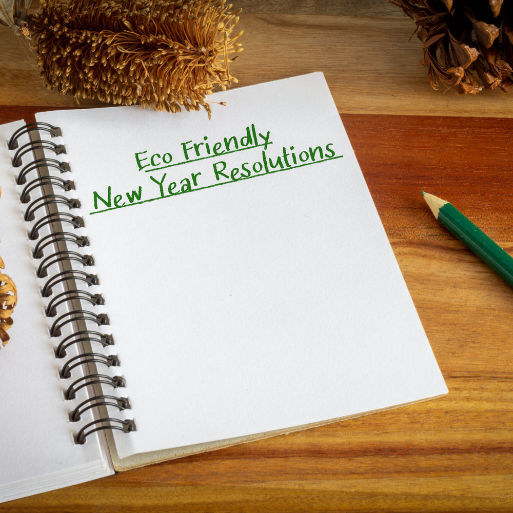 10 Great Eco-friendly 2022 Resolutions To Make A Change!