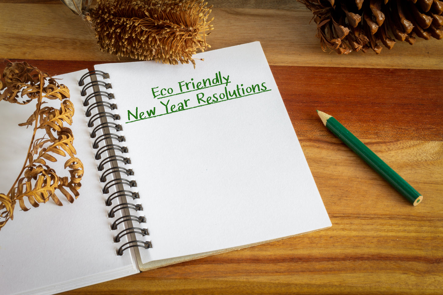 10 Great Eco-friendly 2022 Resolutions To Make A Change!