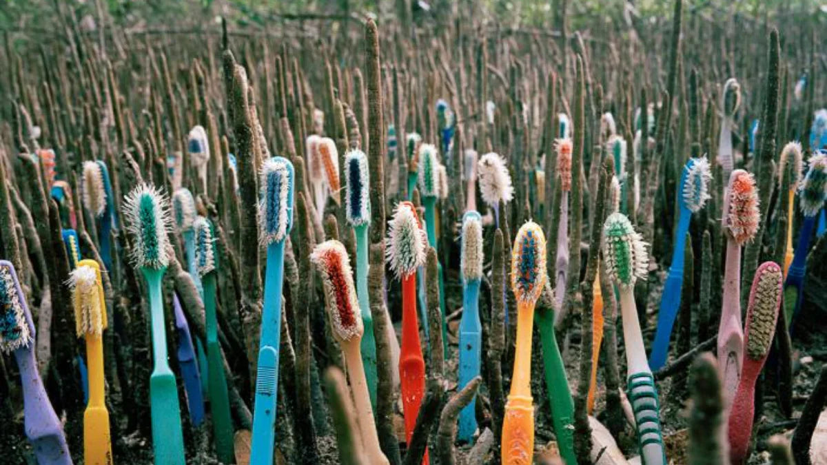 Are Plastic Toothbrushes Recyclable? These Statistics Will Blow Your Mind