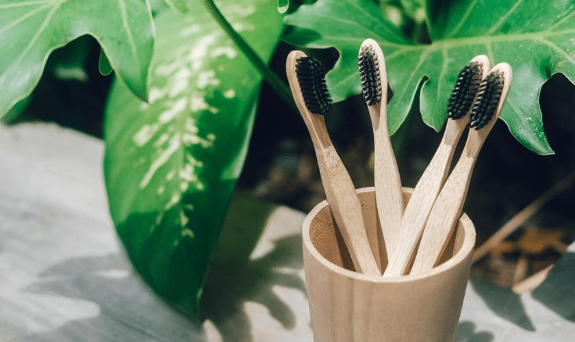 Are bamboo toothbrushes actually Better than plastic?
