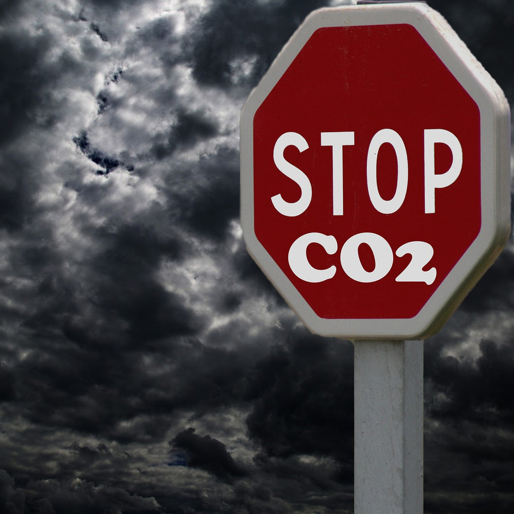 Low Carbon Lifestyle, reduce your carbon footprint