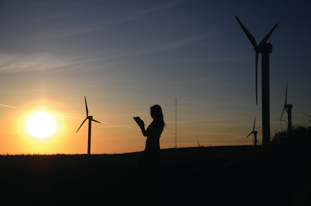 Why Invest in a Sustainable Future