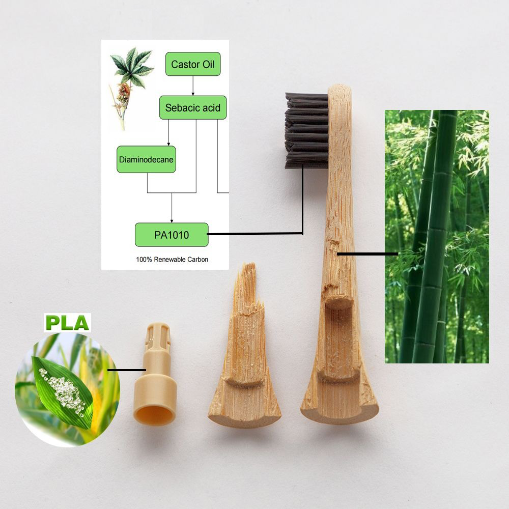 
                  
                    Bamboo Toothbrush Heads
                  
                